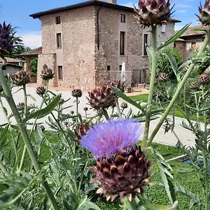  Alloggio per agriturismo Corte Davini Italia